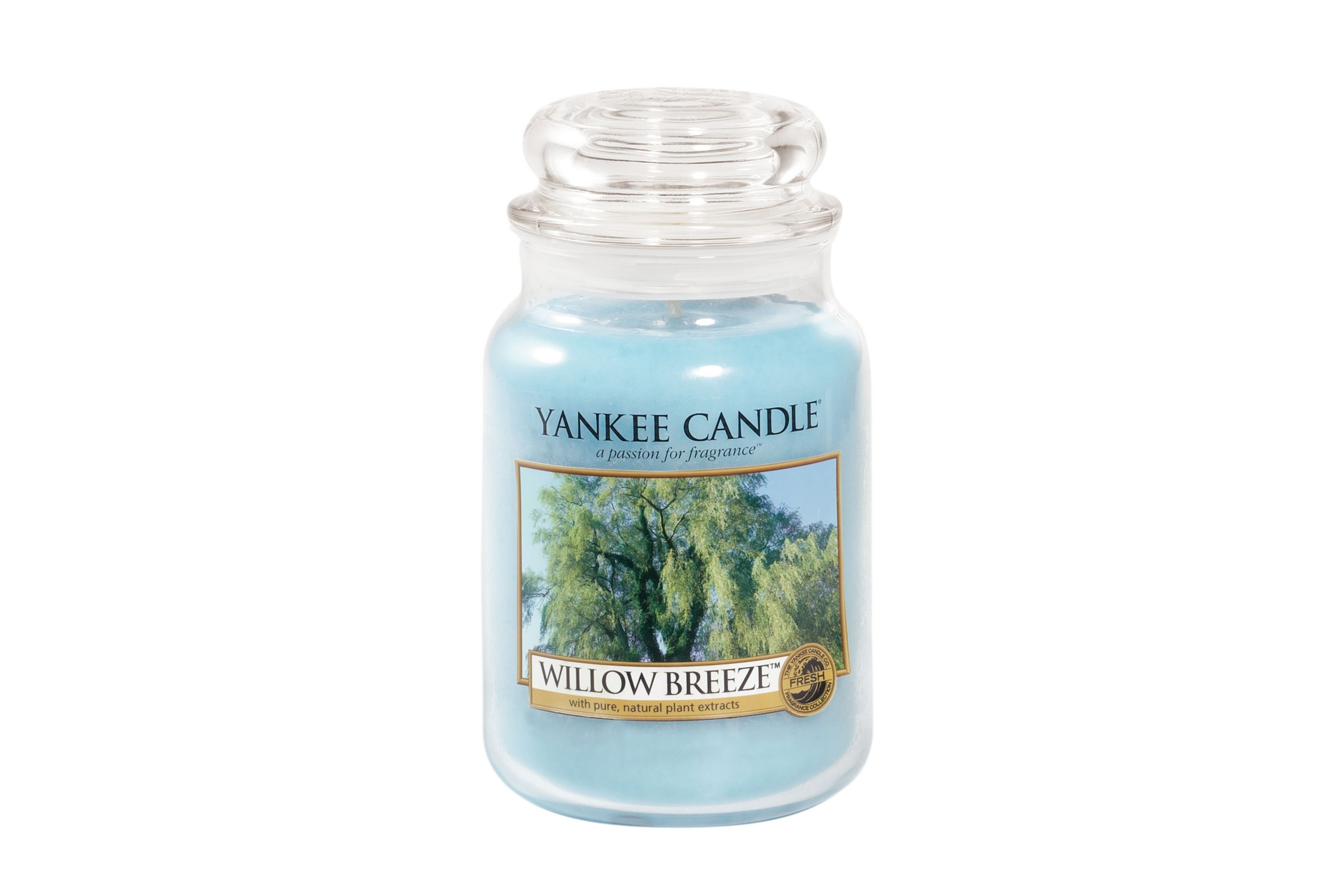 ☆☆WILLOW BREEZE☆☆ LARGE YANKEE CANDLE JAR☆☆FRESH SCENT FREE FAST SHIPPING 