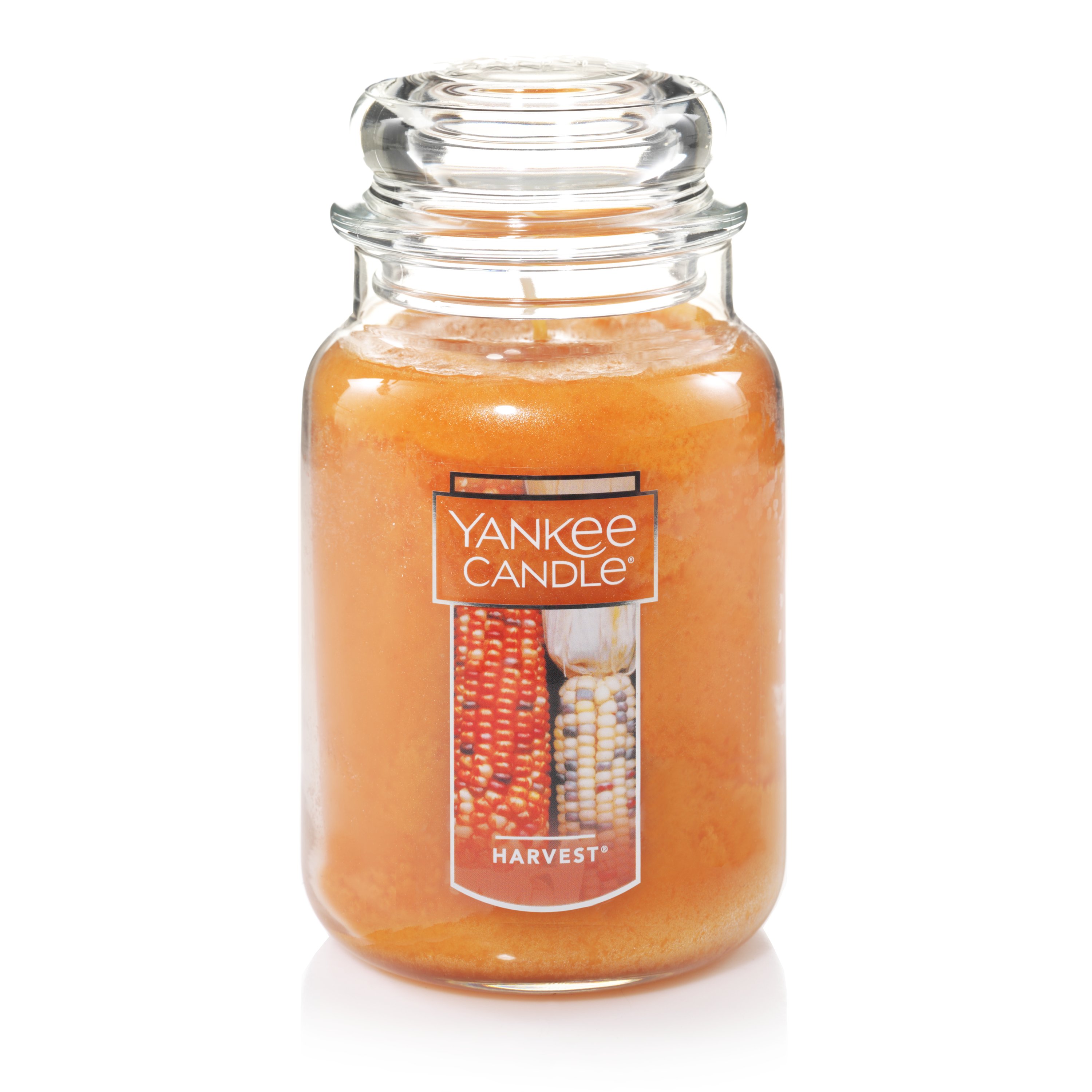 Yankee Candle 22oz 623g Large Jar Spicy Pepperberry & Spruce Deerfield VHTF 