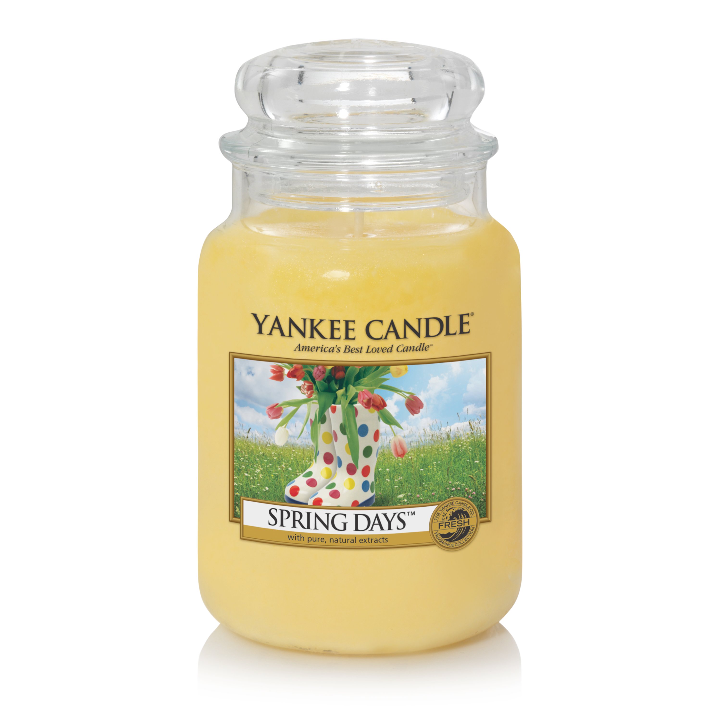 Is Yankee Candle Going Out of Business