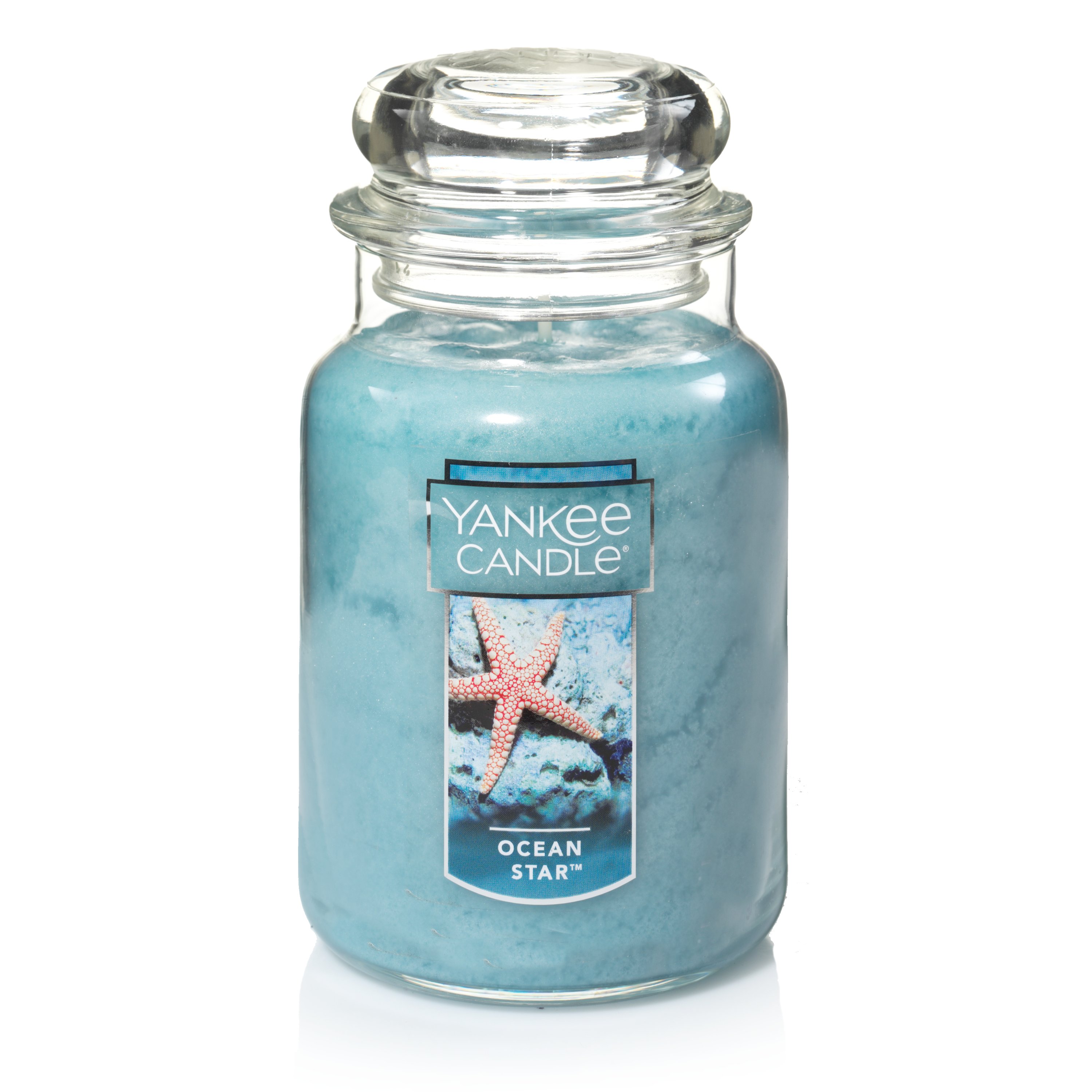 Yankee Candle Europe on X: Discover a shady spot under the palms to take  in the tranquil ocean view 🌴 With notes of sea air complement florals and  woody aromas – the