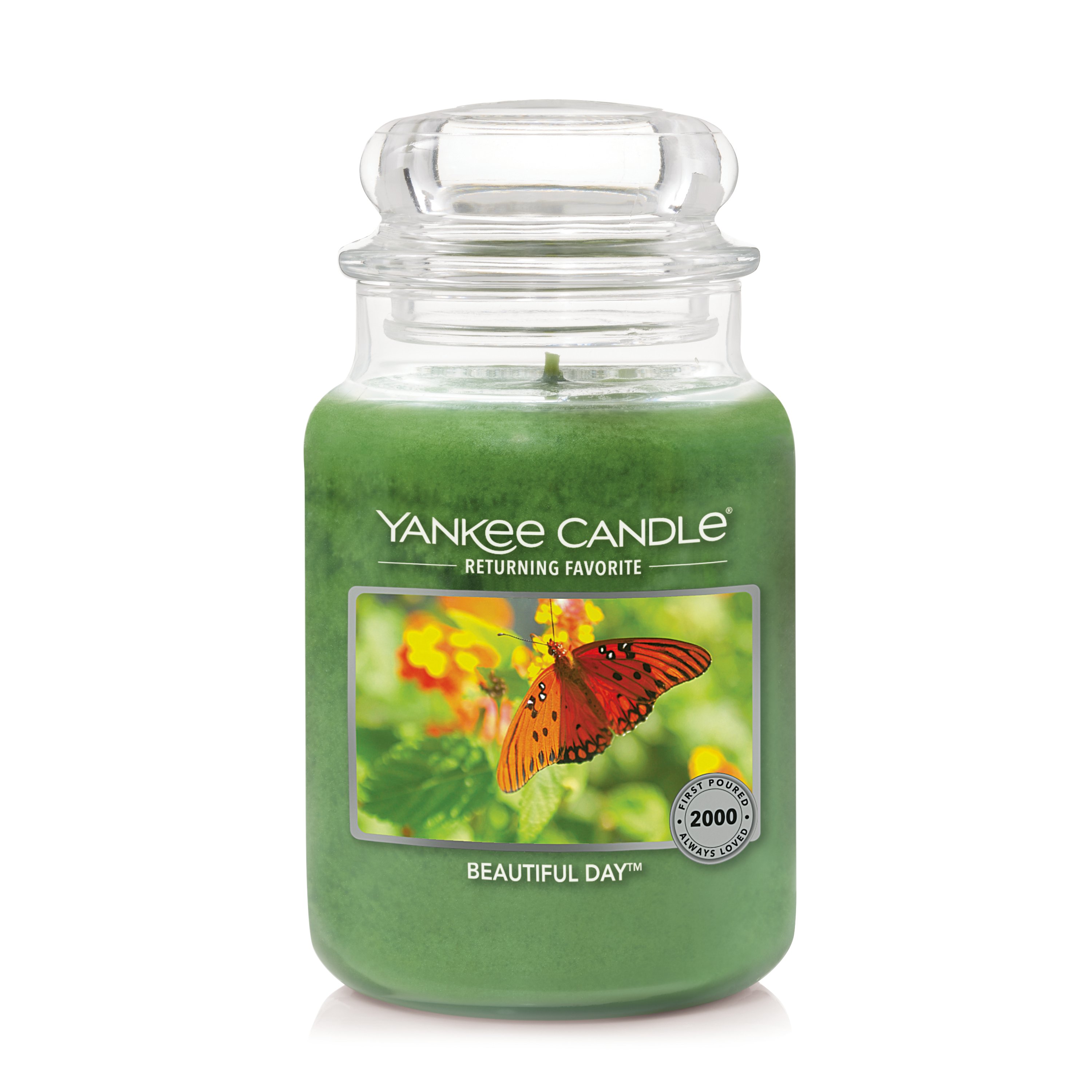 Yankee Candle Evergreen Mist Large Jar 22oz NEW! Mountain Holiday
