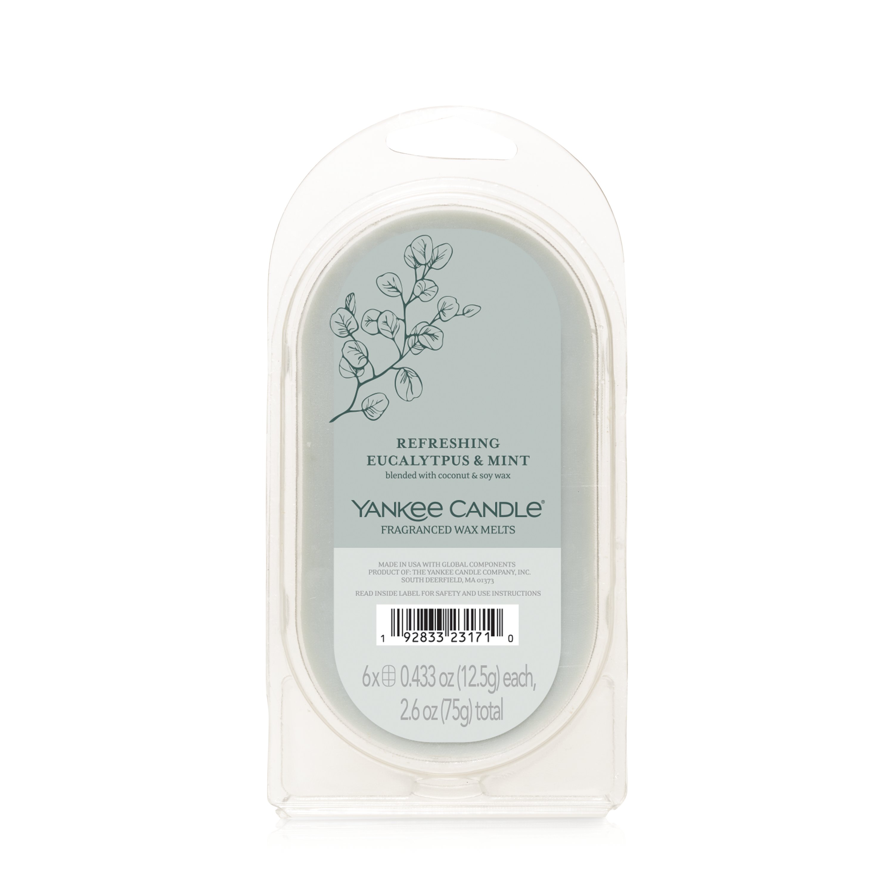 Eucalyptus Wax Melt – Scents of Soy Candle Co.