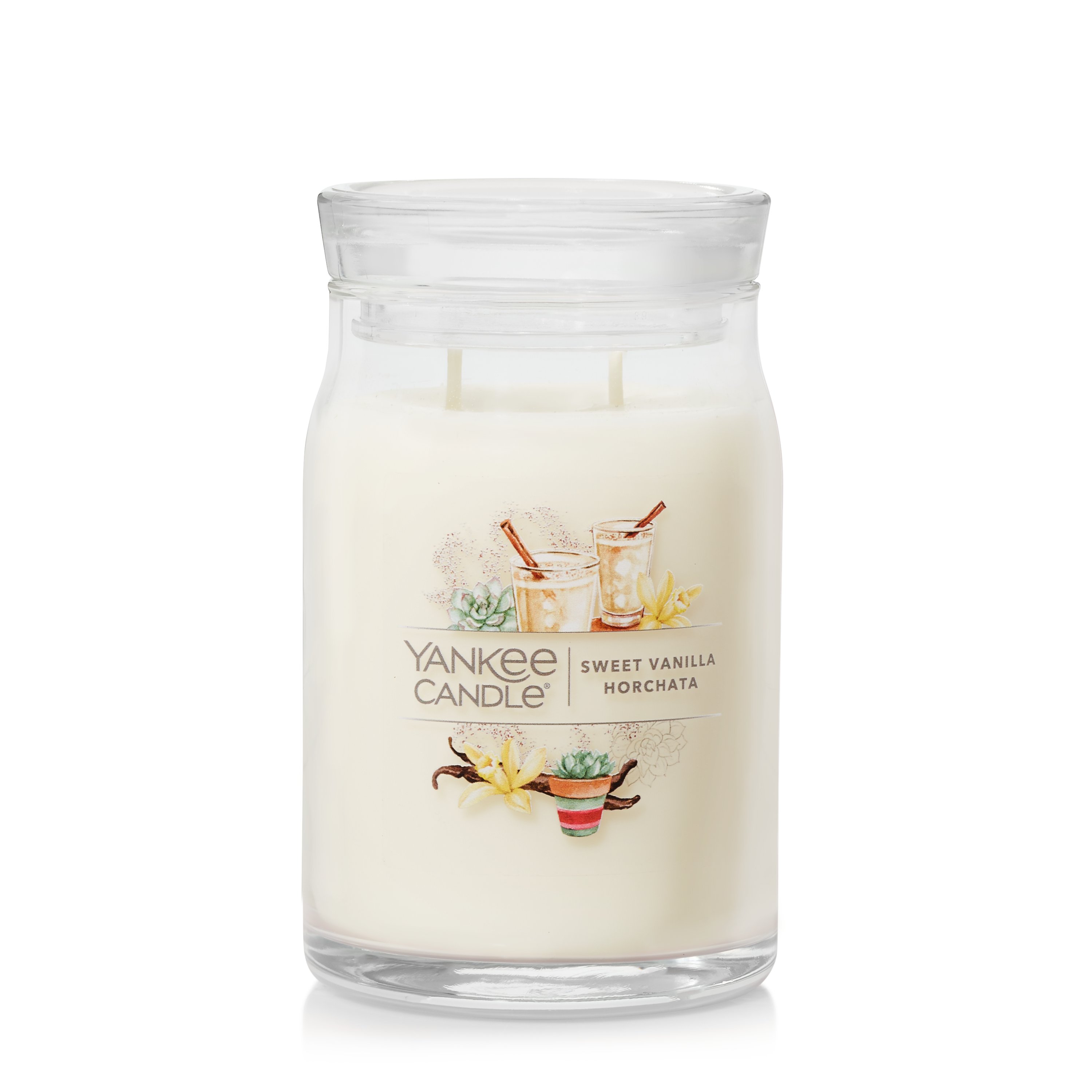 22oz Classic Desert Stargazing - Yankee Candle : Target