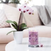 wild orchid signature large tumbler candle on table image number 6