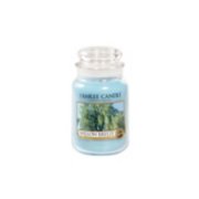 willow breeze large jar candle