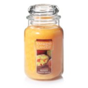 mango peach salsa large jar candles