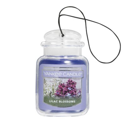 Lilac Blossoms