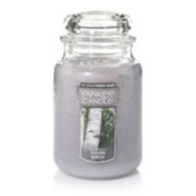 silver birch large jar candles image number 1