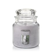 silver birch medium jar candles