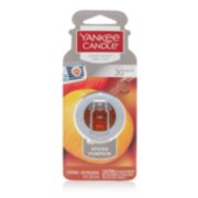 spiced pumpkin smart scent vent clips image number 1