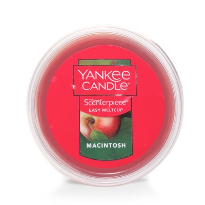 Yankee Candle Easy MeltCup Cialda per Brucia-essenze, Sparkling Cinnamon :  : Salute e cura della persona