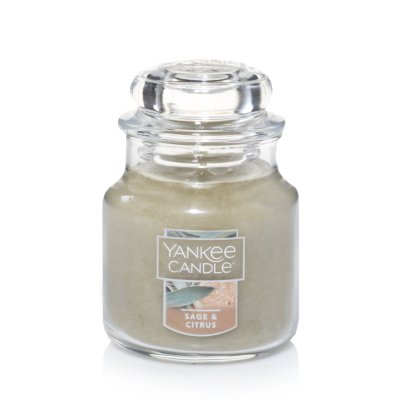 Candles  NEW    Lot of 2     Free Shipping Yankee Candle     Sage   22 oz 