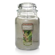 williamsburg bayberry large jar candles
