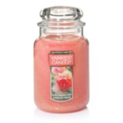 sun drenched apricot rose orange candles image number 1