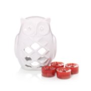 owl luminary tea light candle holder gift set apple pumpkin image number 0