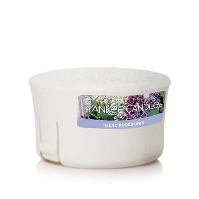 Lilac Blossoms