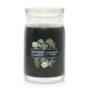 silver sage and pine signature large jar candle