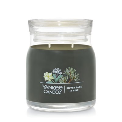 Silver Sage & Pine
