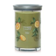 2 wick jar candle sage and citrus