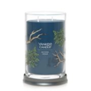 2 wick jar candle bayside cedar image number 1