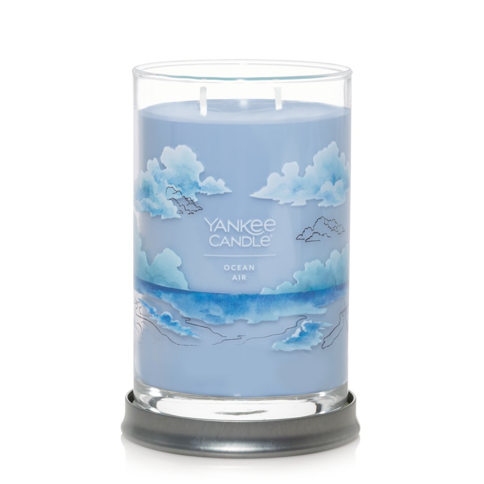 2 wick jar candle ocean air