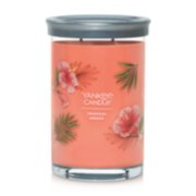 2 wick jar candle tropical breeze image number 0