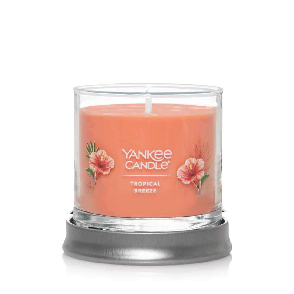 jar candle tropical breeze