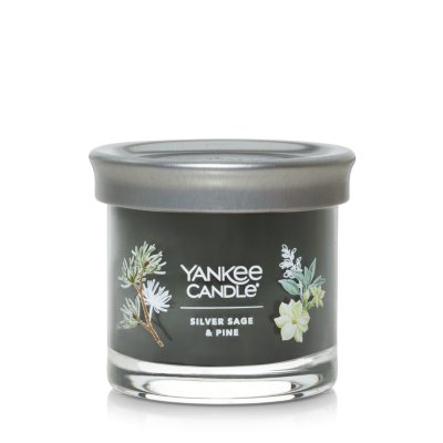 Silver Sage & Pine