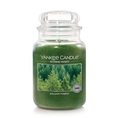 Balsam Forest - Returning Favorite