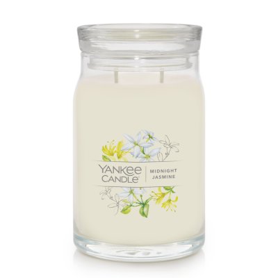 Midnight Jasmine