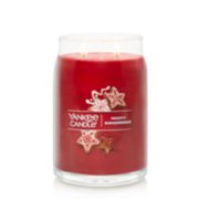 frosty gingerbread signature large jar candle image number 2