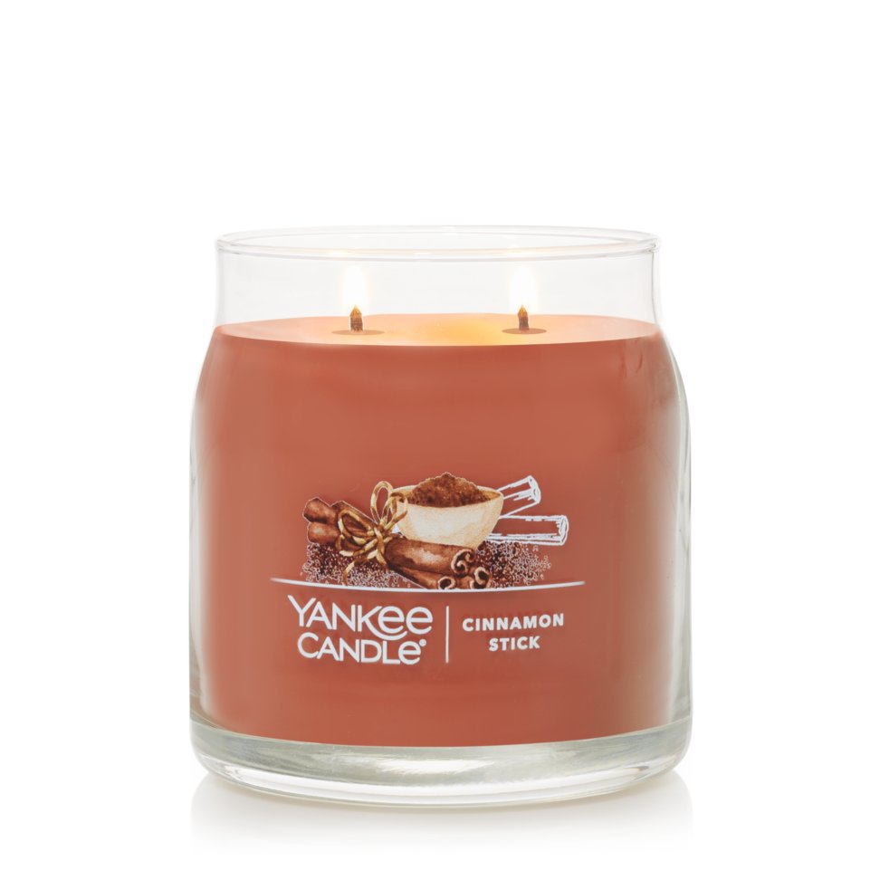cinnamon stick signature two wick medium jar candle without lid on transparent background
