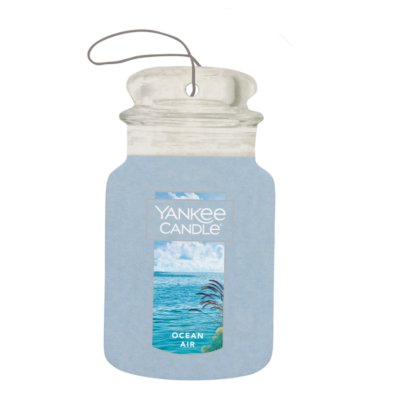 Yankee Candle Bayside Cedar Autoduft Car Jar