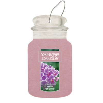 Wild Orchid