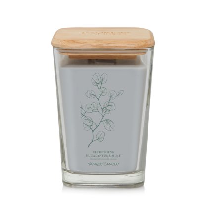 Refreshing Eucalyptus & Mint