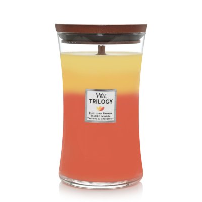 Tropical Sunrise Trilogy