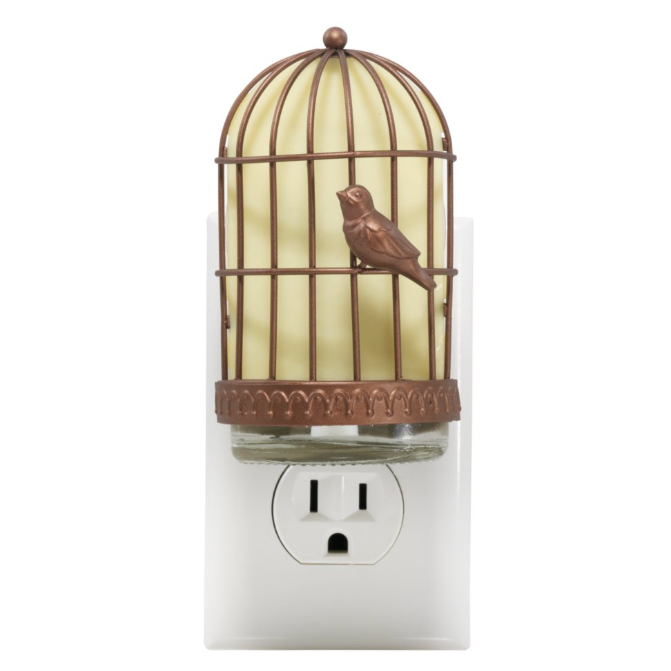 uncaged bird with light scentplug diffusers