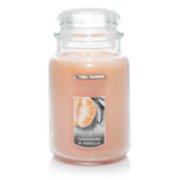 tangerine and vanilla large jar candles image number 1