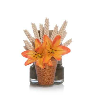 Fall Flowers