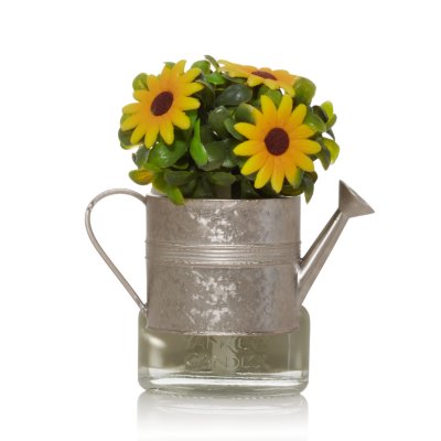 Watering Can