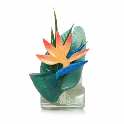 Bird of Paradise
