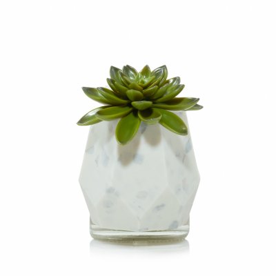 Faceted Succulent