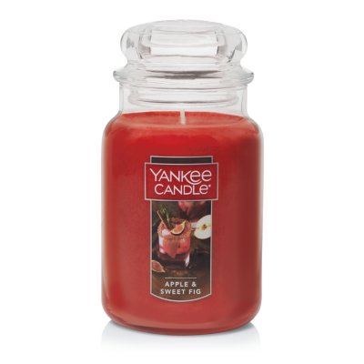 RARE Yankee Candle 22oz LARGE JAR *You Pick* RETIRED HTF LARGE VARIETY OF Scents 