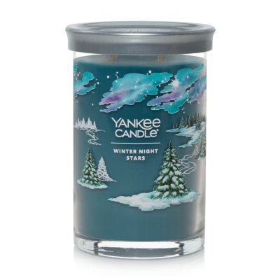 Winter Night Stars