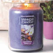 honey lavender gelato just because gifts image number 3