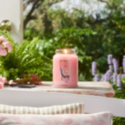 fresh cut roses pink candles on table image number 4