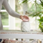 pink sands easy melt warmer easy meltcup scenterpiece home fragrance image number 3
