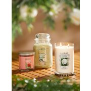 camellia blossom and sun drenched apricot rose tumbler candles and sage and citrus jar candle on table image number 2