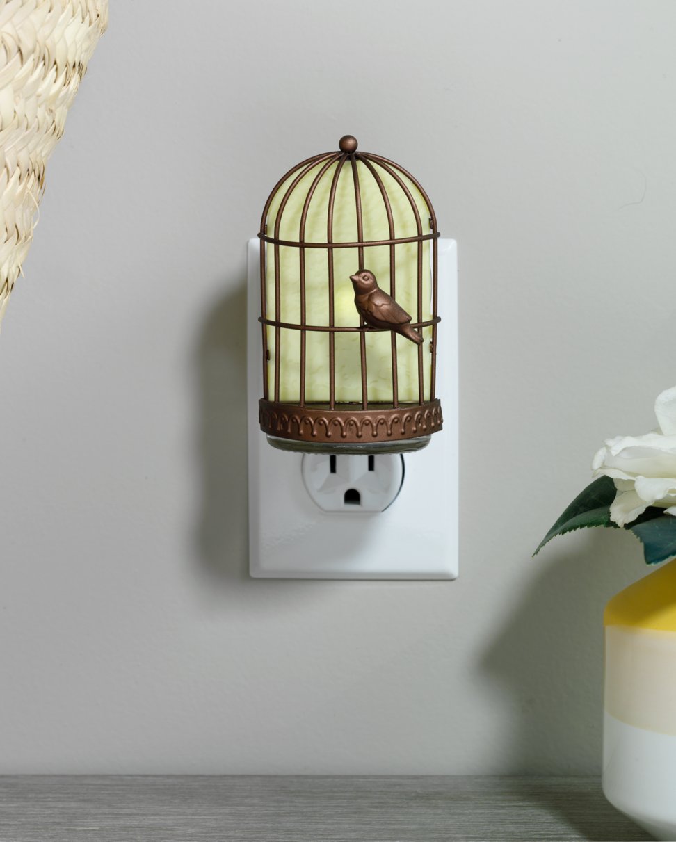 uncaged bird with light scentplug diffusers in socket