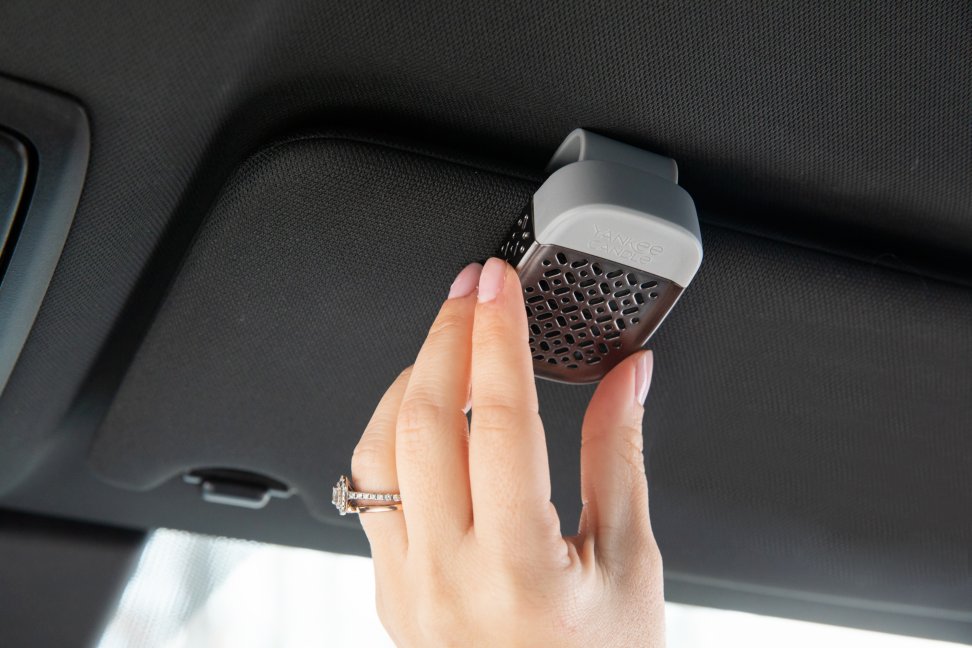 visor clip inside the car